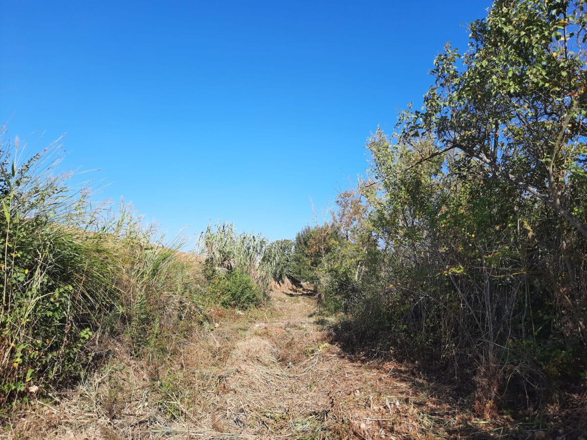 Travaux De Restauration Et Dentretien De La V G Tation Des Berges Et